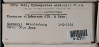 Image Associated With the Occurence